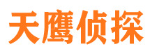 南江市侦探公司